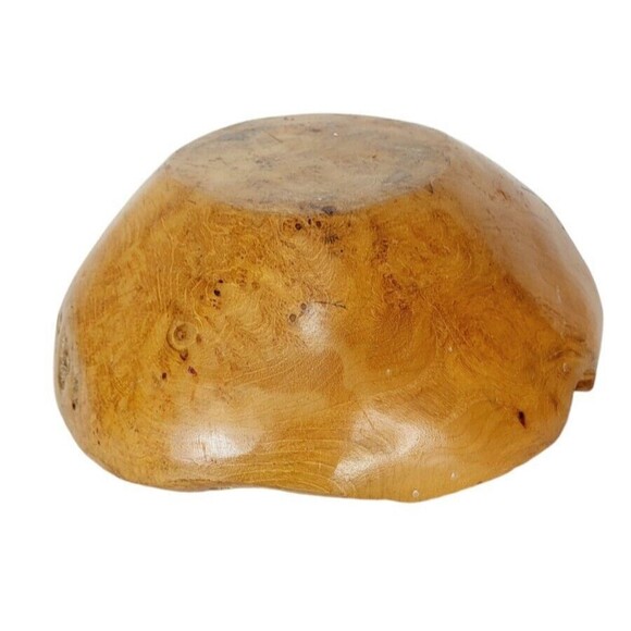 Vintage Natural Polished Teak Root Rustic Bowl Raw Chunky Painted Rim 11.5" - Picture 13 of 14